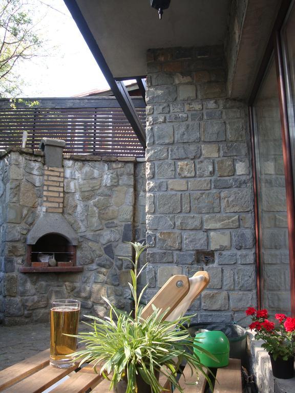 Casuta De Piatra Villa Busteni Exterior photo
